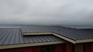 Best Skylight Installation and Repair  in Sa Loma, CA